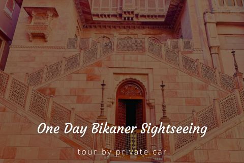 One Day Udaipur Sightseeing Tour Package by Cab