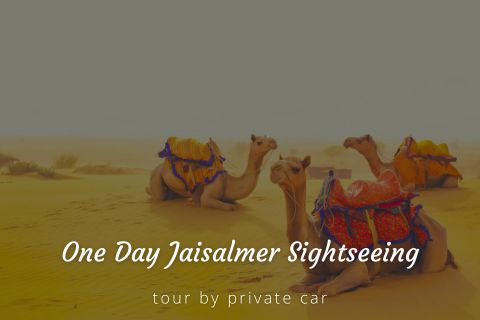 One Day Jodhpur Sightseeing Tour Package by Cab